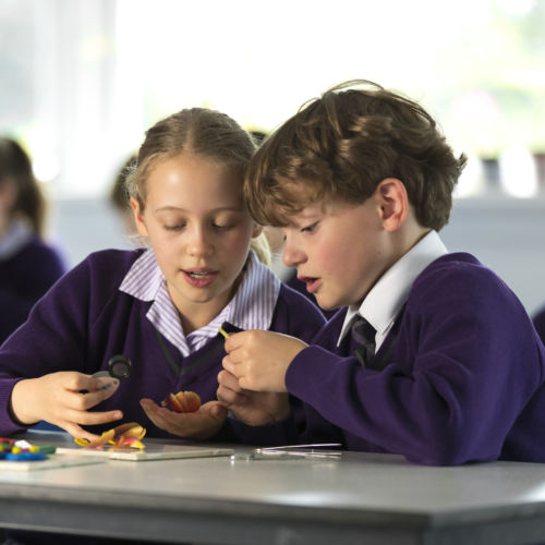 wycliffe prep students using magnifying glasses