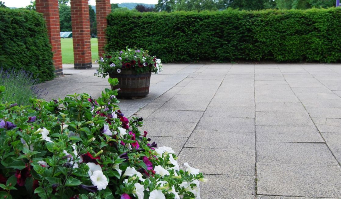 wycliffe garden with petunias