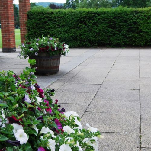 wycliffe garden with petunias