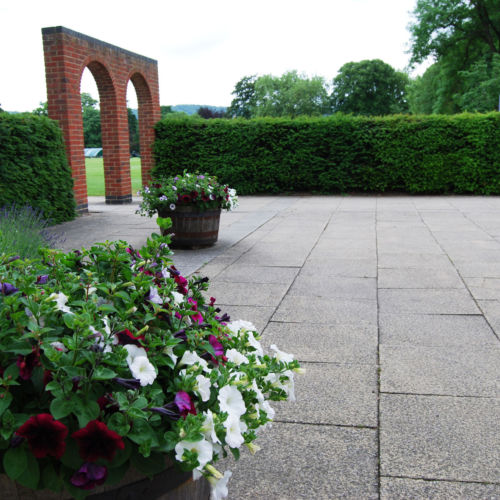 wycliffe gardens and petunias