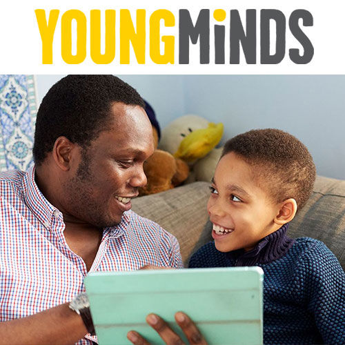 Online Abuse young minds logo