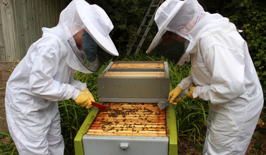 Wycliffe year 9 students beekeeping