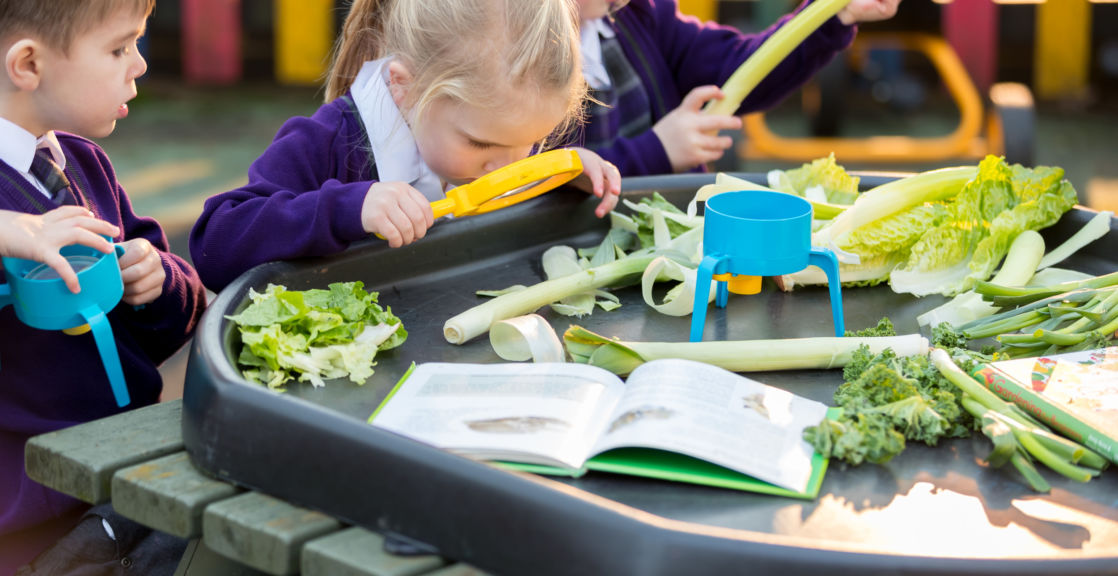 wycliffe nursery children using magnifying class with food