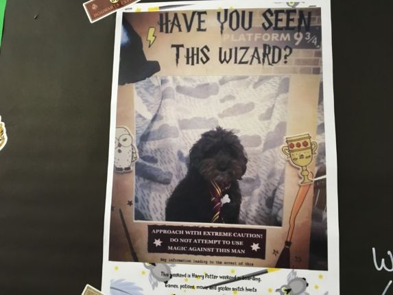 have you seen this wizard poster with dog