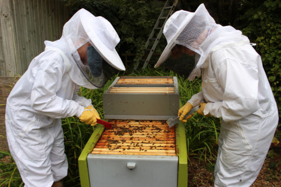 Wycliffe year 9 students beekeeping